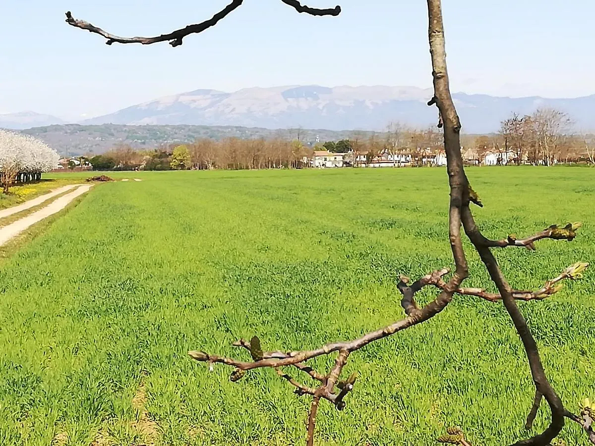 ホテル Borgo Barucchella Sant'Andra 0*,